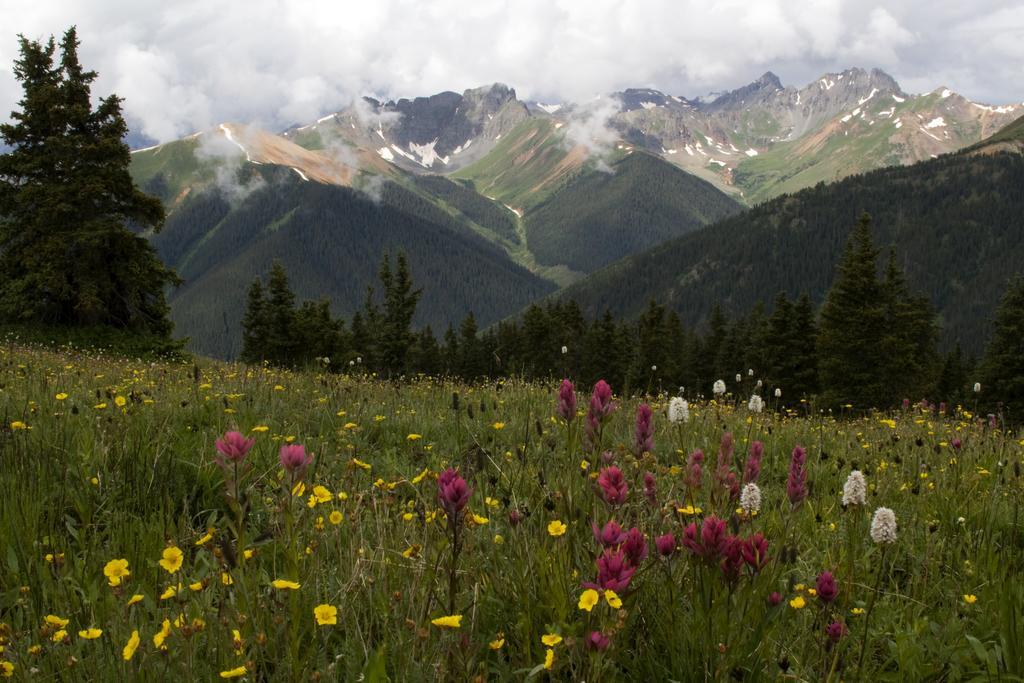 Ouray Chalet Inn Екстериор снимка